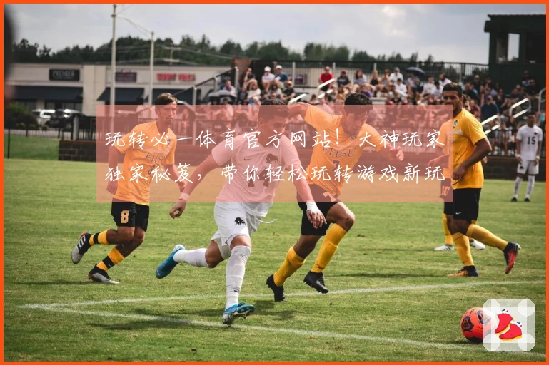 玩转必一体育官方网站！大神玩家独家秘笈，带你轻松玩转游戏新玩法